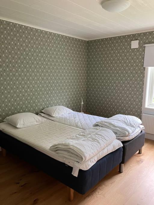 Newly Renovated Cozy House Urshult-asnen-south Smaland *